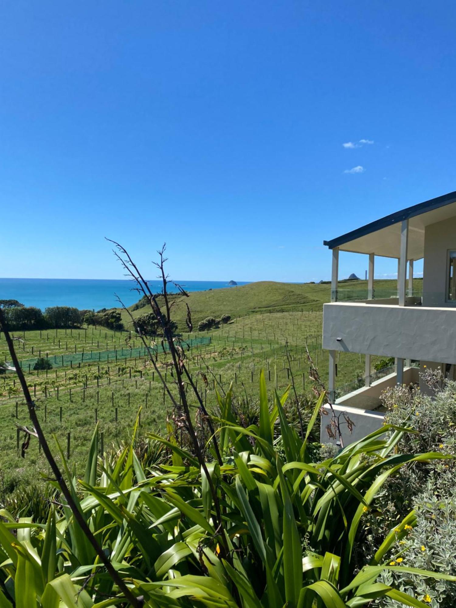 Chalets At Okurukuru New Plymouth Dış mekan fotoğraf