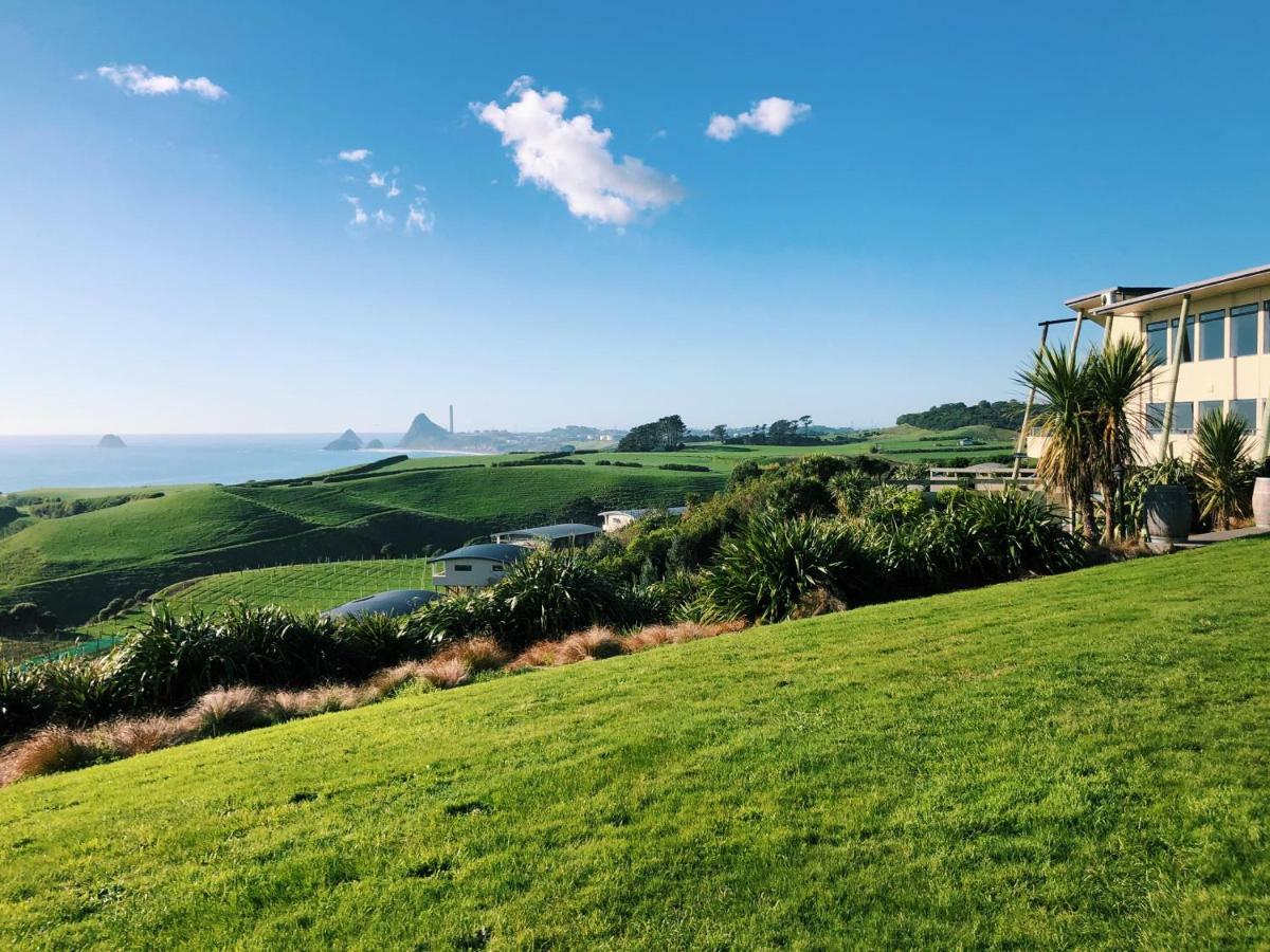 Chalets At Okurukuru New Plymouth Dış mekan fotoğraf