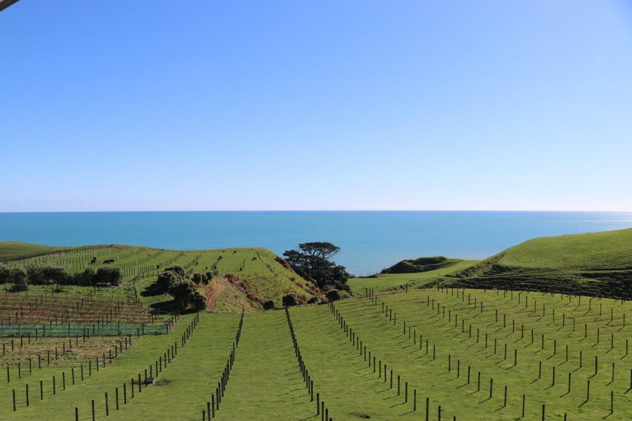 Chalets At Okurukuru New Plymouth Dış mekan fotoğraf
