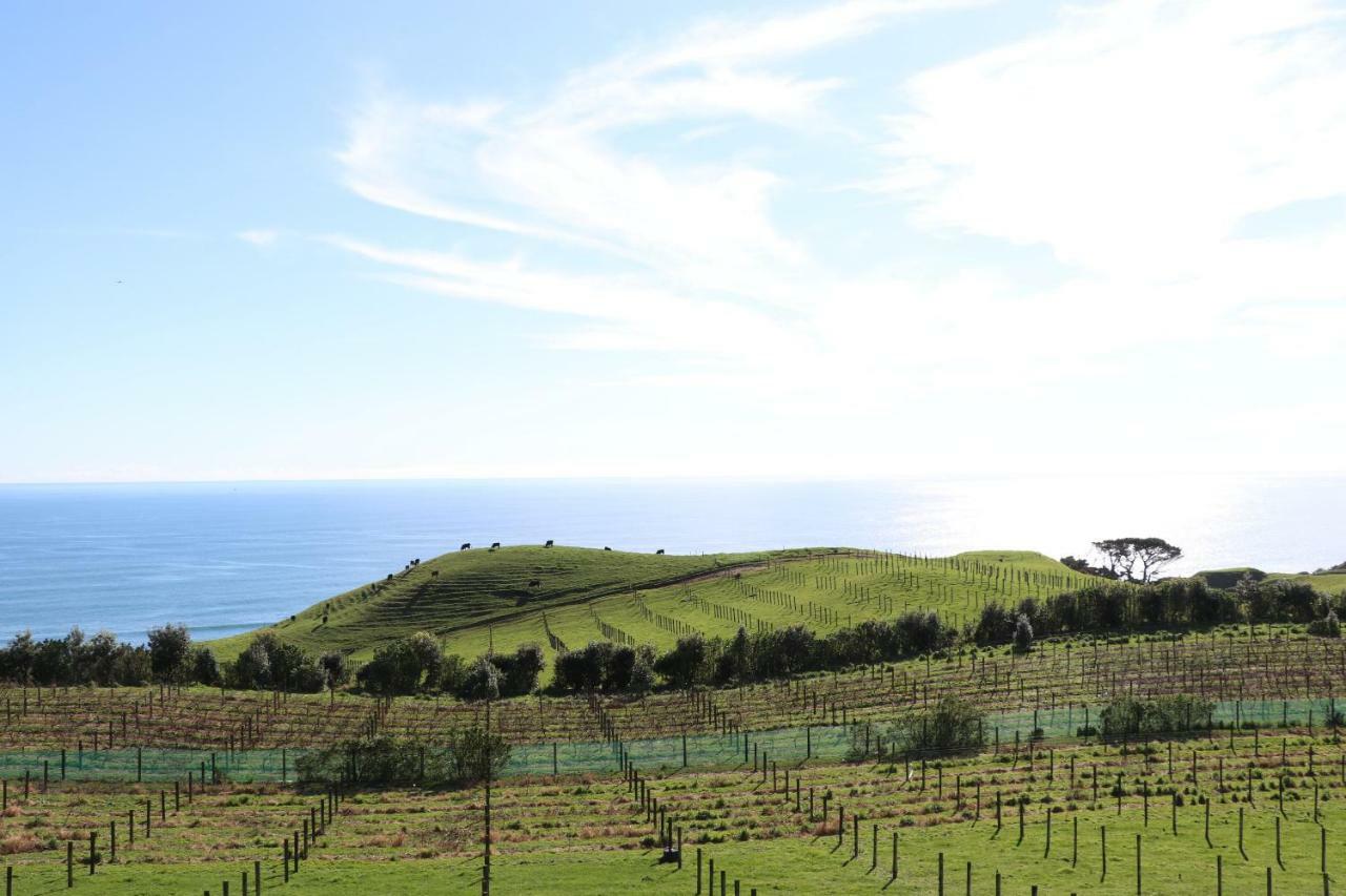 Chalets At Okurukuru New Plymouth Dış mekan fotoğraf